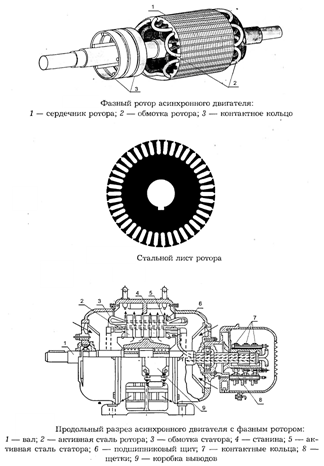 Фазный ротор асинхронного двигателя